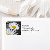 Daisy Day Label (Insitu)