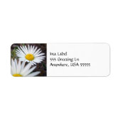 Daisy Day Label (Voorkant)