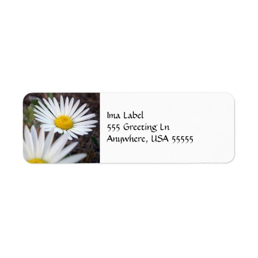 Daisy Day Label (Voorkant)