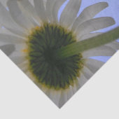 Daisy Day Tissuepapier (Detail)