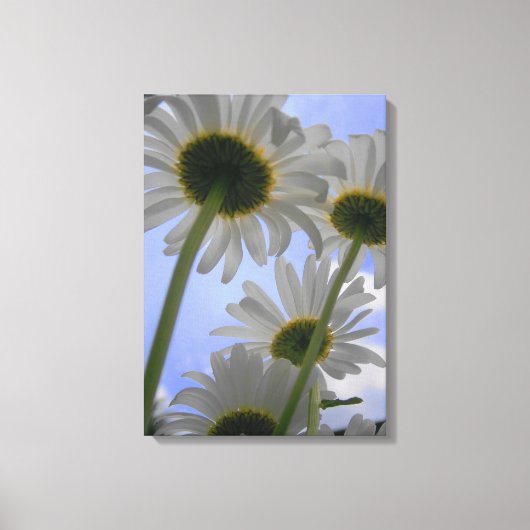 Daisy Day Wrapped Canvas (Voorkant)