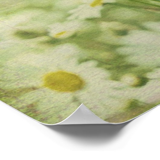 Daisy Daydromen Poster (Hoek)