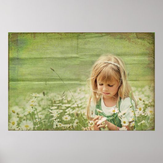 Daisy Daydromen Poster (Voorkant)