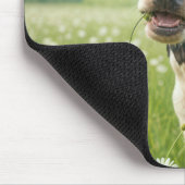 Daisy de Koe Muismat (Hoek)