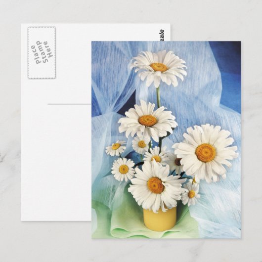 Daisy Decor Briefkaart (Voorkant / Achterkant)