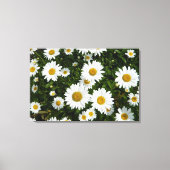 Daisy Delight Canvas Afdruk (Voorkant)