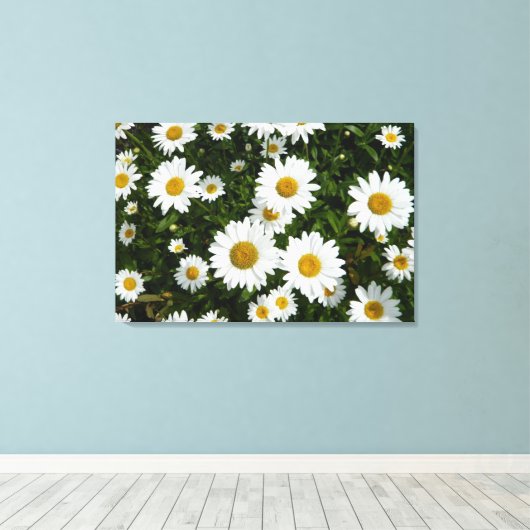 Daisy Delight Canvas Afdruk (Insitu (Houten vloer))