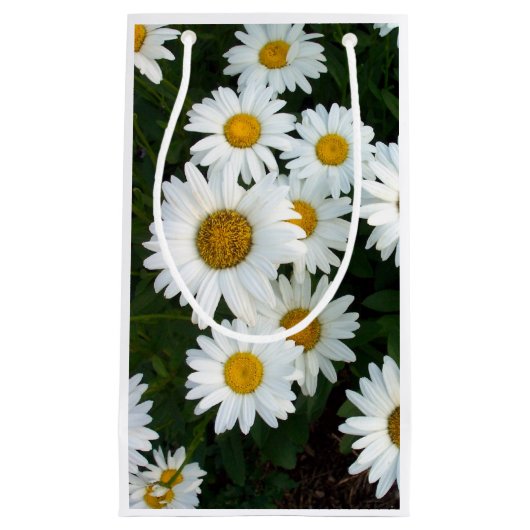 Daisy Delight Gift Bag Klein Cadeauzakje (Voorkant)