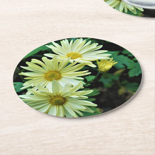 Daisy Delight Onderzetters (Gebogen)