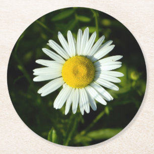 Daisy Delight Paper-Onderzetter Ronde Kartonnen Onderzetter