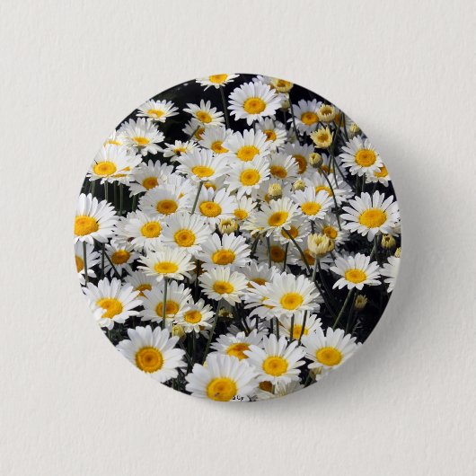 Daisy Delight Ronde Button 5,7 Cm (Voorkant)