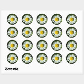 Daisy Delight Ronde Sticker (Vel)
