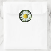 Daisy Delight Ronde Sticker (Tas)
