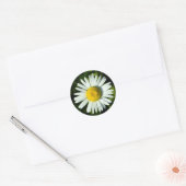 Daisy Delight Ronde Sticker (Envelop)
