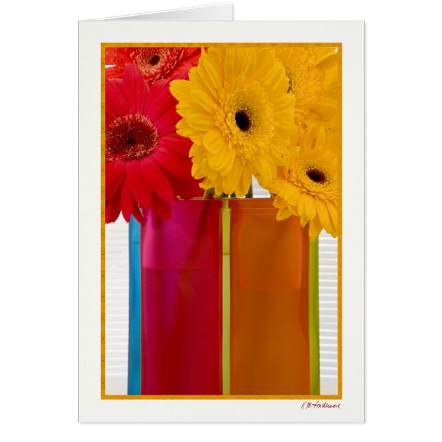 Daisy delight VII (Voorkant)