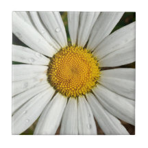 Daisy Dew Tile