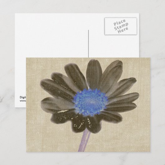 Daisy Digital Art Briefkaart (Voorkant / Achterkant)