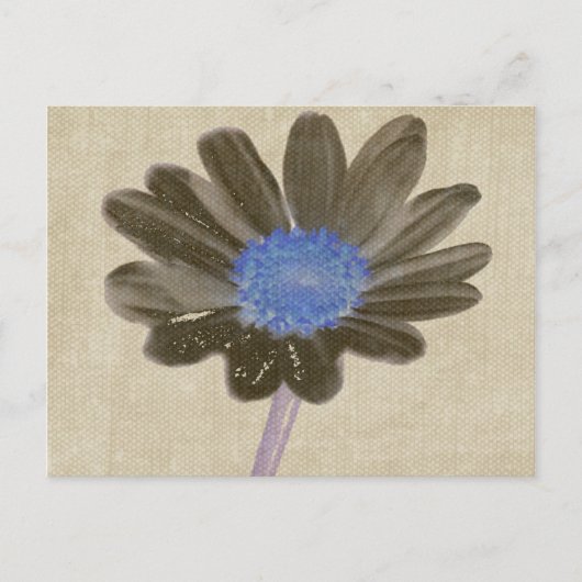 Daisy Digital Art Briefkaart (Voorkant)