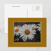 Daisy doet het briefkaart (Voorkant / Achterkant)