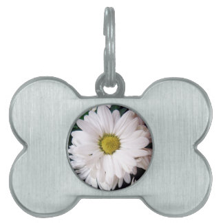 * Daisy * Dog Collar Label Huisdieren Naamplaatje