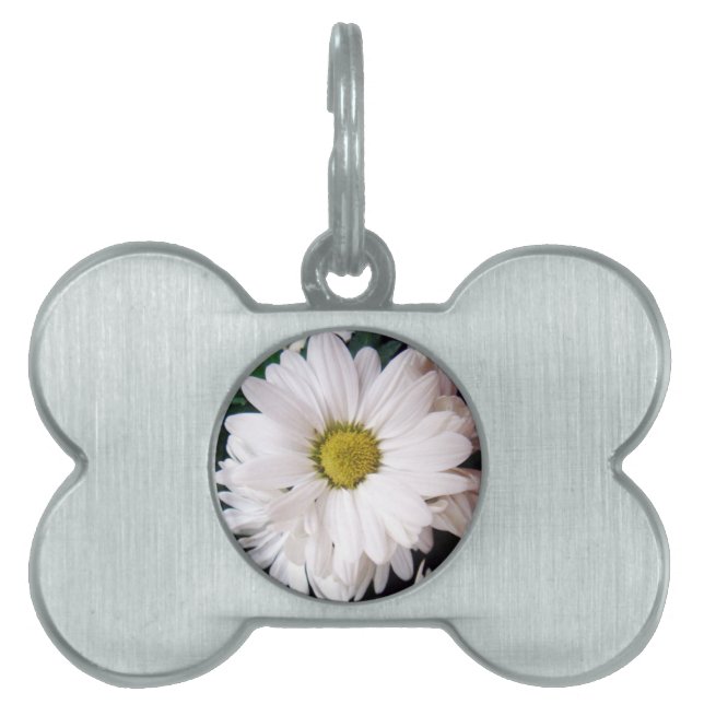 * Daisy * Dog Collar Label Huisdieren Naamplaatje (voorkant)