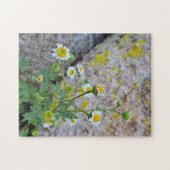 Daisy Dots of Delight Puzzel, 28 cm x 35,5 cm, 252 Legpuzzel (Horizontaal)