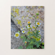 Daisy Dots of Delight Puzzel, 28 cm x 35,5 cm, 252