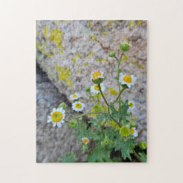 Daisy Dots of Delight Puzzel, 28 cm x 35,5 cm, 252 Legpuzzel