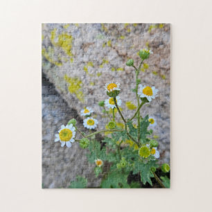 Daisy Dots of Delight Puzzel, 28 cm x 35,5 cm, 252 Legpuzzel