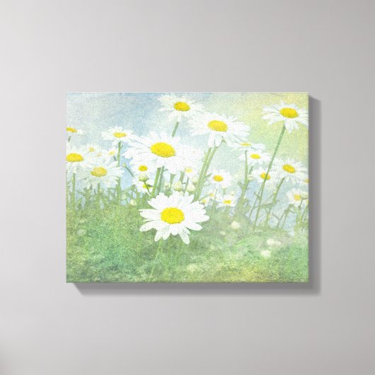 Daisy Dream Canvas Afdruk (Voorkant)