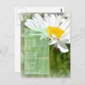 Daisy Dream Poem Inspirerend Post Kaart (Voorkant / Achterkant)