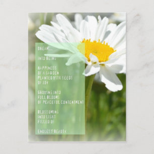 Daisy Dream Poem Inspirerend Post Kaart