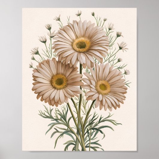 Daisy Droom Poster (Voorkant)