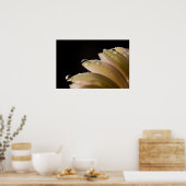 Daisy Droplet Poster (Keuken)