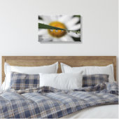 Daisy Drups natuur foto Canvas Afdruk (Insitu (Slaapkamer))