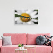 Daisy Drups natuur foto Canvas Afdruk (Insitu (Woonkamer))