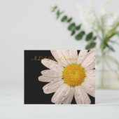 Daisy "Een druppel zonneschijn" briefkaart (Staand voorkant)