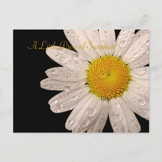 Daisy "Een druppel zonneschijn" briefkaart (Voorkant)