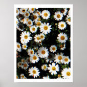 Daisy Emoji Faces Poster (Voorkant)