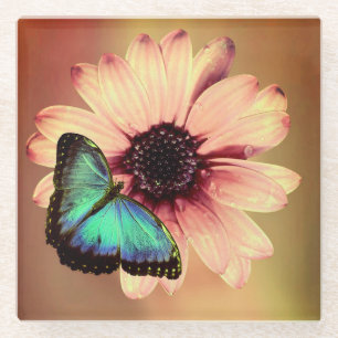 Daisy en Butterfly Glazen Onderzetter