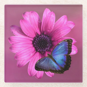 Daisy en Butterfly Glazen Onderzetter