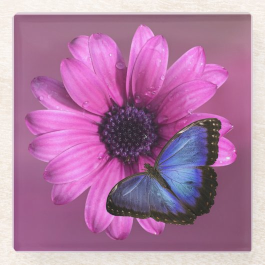 Daisy en Butterfly Glazen Onderzetter (Voorkant)