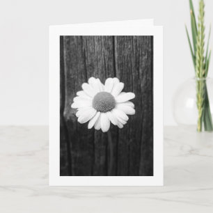 Daisy en de liefde kaart