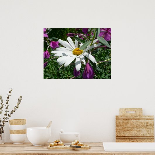 Daisy en Fireweed Poster (Keuken)