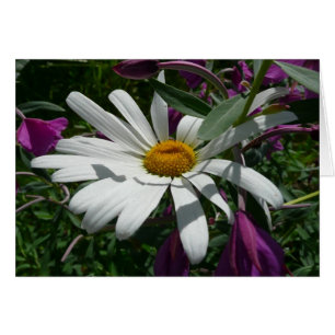 Daisy en Fireweed Wildflower
