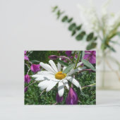Daisy en Fireweed Wildflower Briefkaart (Staand voorkant)
