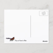 Daisy en Fireweed Wildflower Briefkaart (Achterkant)