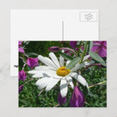 Daisy en Fireweed Wildflower Briefkaart (Voorkant / Achterkant)