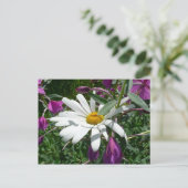 Daisy en Fireweed Wildflower Briefkaart (Staand voorkant)