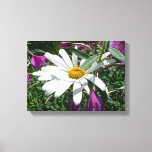 Daisy en Fireweed Wildflower Canvas Afdruk